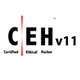 CEHv11 Training Course