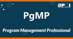 PMP Logo